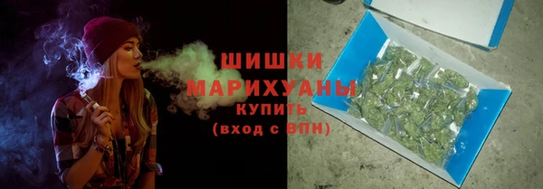 стаф Балахна