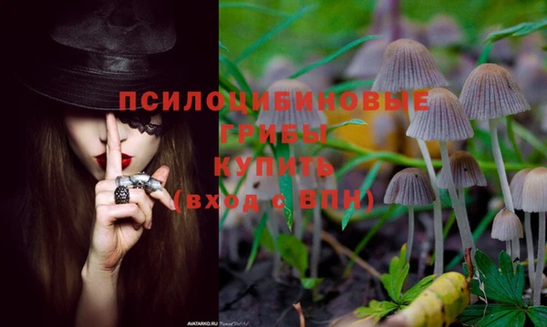 2c-b Покров